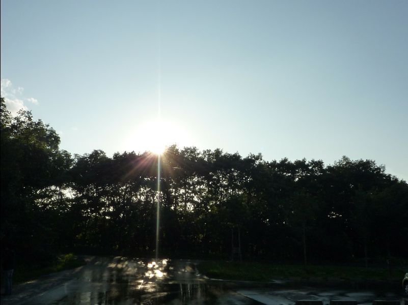 Wetland_Park48