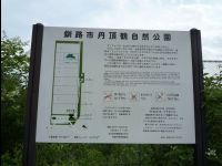 Red_Crowed_Crane01