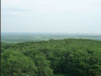 Wetland_Park03
