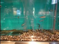 Wetland_Park07