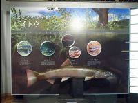 Wetland_Park08
