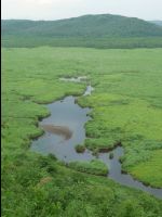 Wetland_Park17