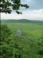 Wetland_Park21
