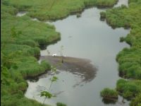 Wetland_Park26