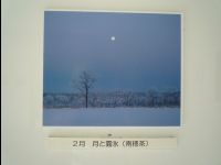 Wetland_Park31