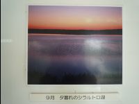 Wetland_Park34