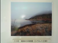 Wetland_Park35