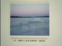Wetland_Park36
