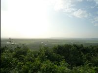 Wetland_Park40