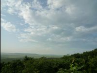 Wetland_Park42