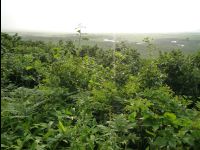 Wetland_Park44