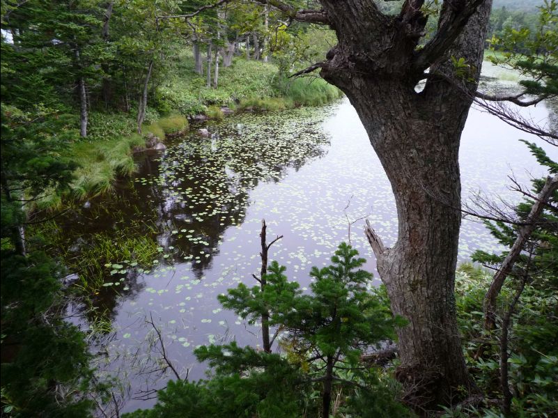 Five_Lakes42