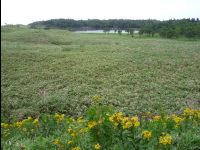 Five_Lakes14