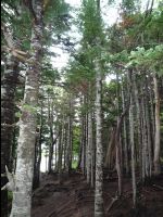 Five_Lakes31