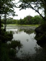 Five_Lakes35