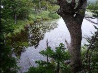 Five_Lakes42