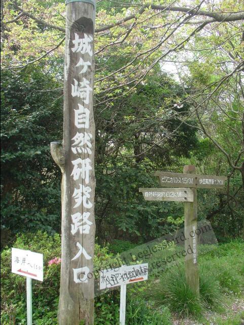 IzuKogen13