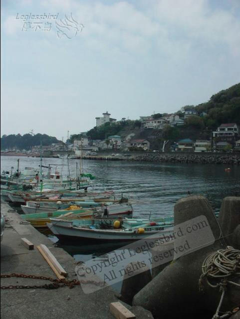 Shimoda01
