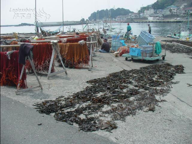 Shimoda02