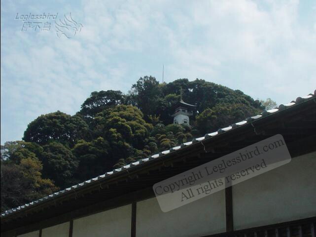 Shimoda13