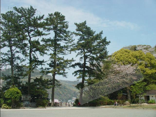 Shimoda30