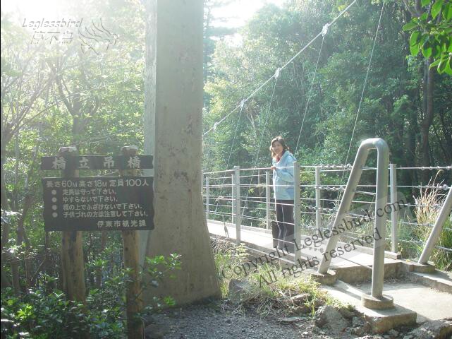 SuspensionBridge13