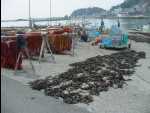 Shimoda02