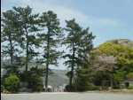 Shimoda30