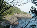 SuspensionBridge12