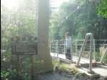 SuspensionBridge13