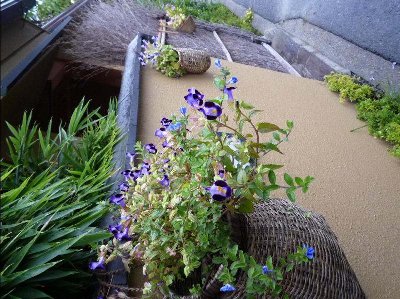 Hotel_Meitetsu_Gifu15