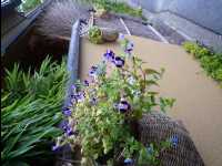 Hotel_Meitetsu_Gifu15
