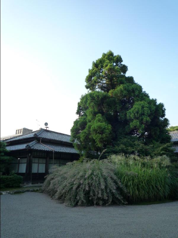 Gifu07