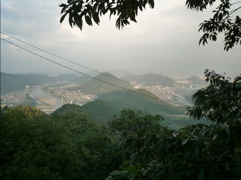 Gifu25