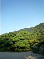 Gifu03