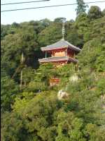 Gifu20
