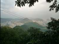 Gifu25