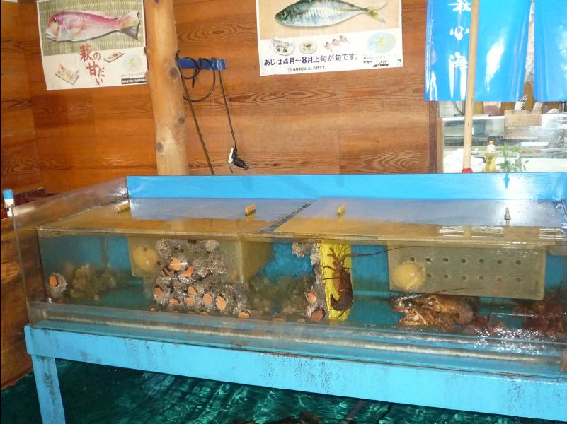 Fresh_Seafood_Restaurant13