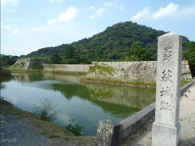 Hagi12