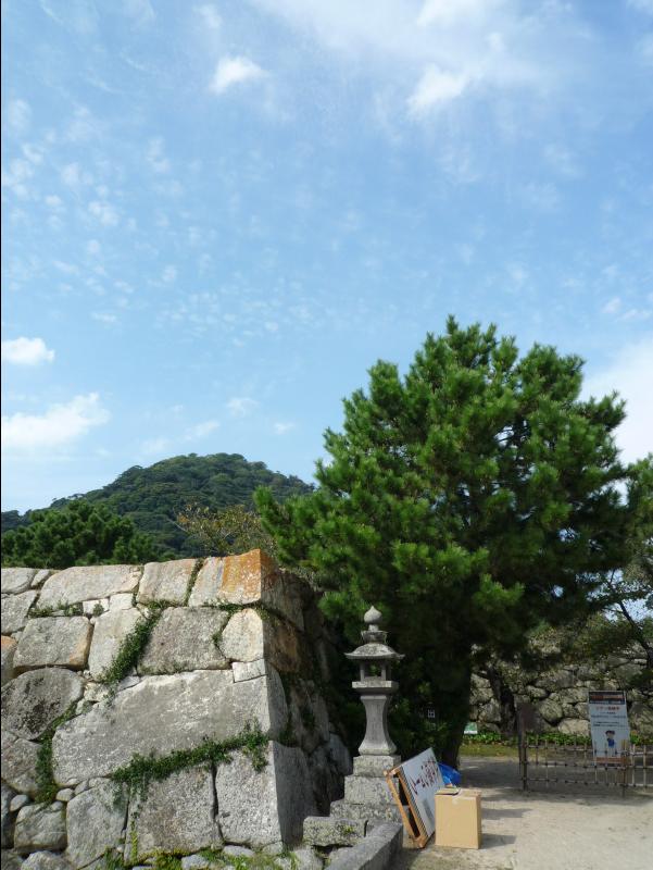 Hagi13