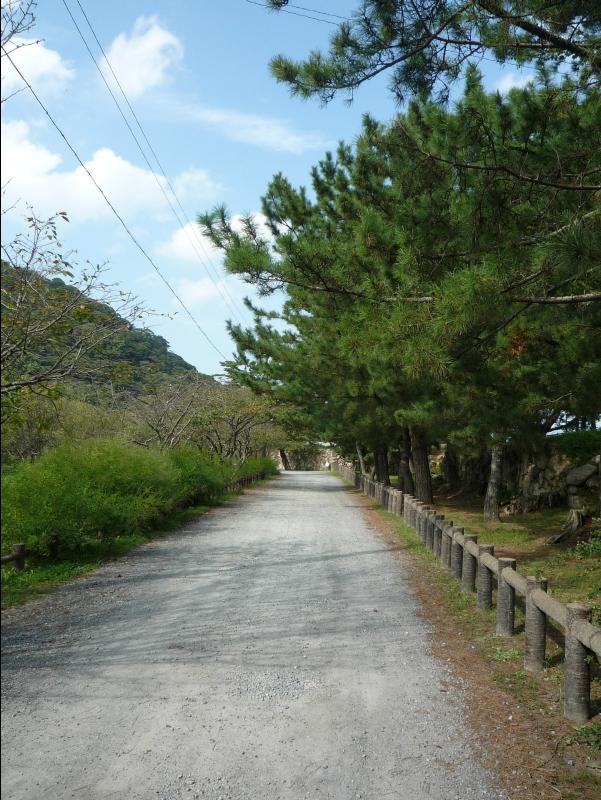 Hagi50