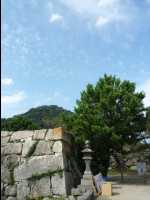 Hagi13