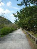 Hagi50