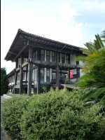Hagi56