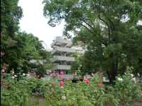 Atomic_Bomb_Site13