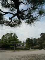 Hiroshima11