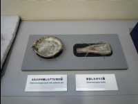 Memorial_Museum20