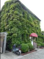 Kurashiki04