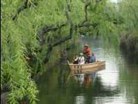 Kurashiki16