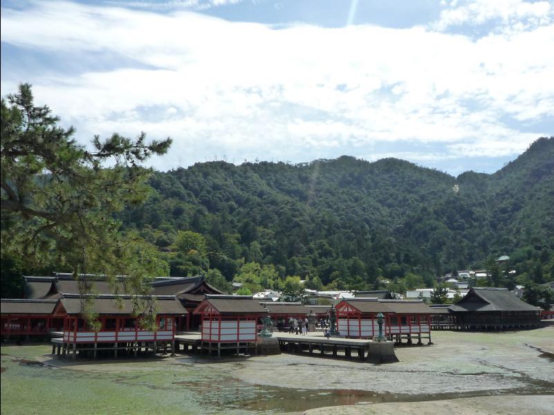 Miyajima45